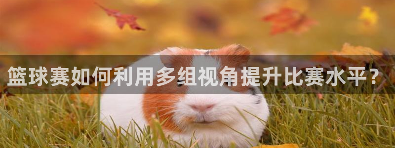 jn江南·体育官网：篮球赛如何利用多组视角提升比赛水平？