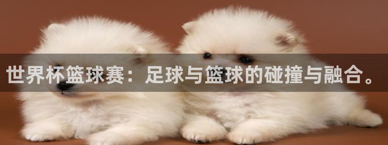 江南娱乐jn平台下载：世界杯篮球赛：足球与篮球的碰撞与融合。