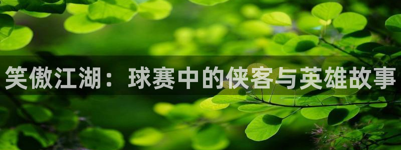  jn江南·体育最新官网入口：笑傲江湖：球赛中的侠客与英雄故事