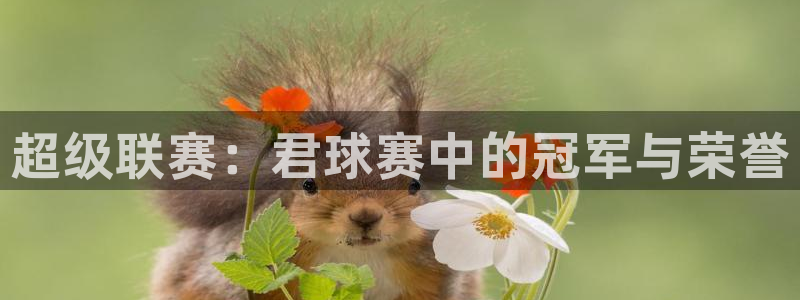 jn江南·体育登录入口：超级联赛：君球赛中的冠军与荣誉
