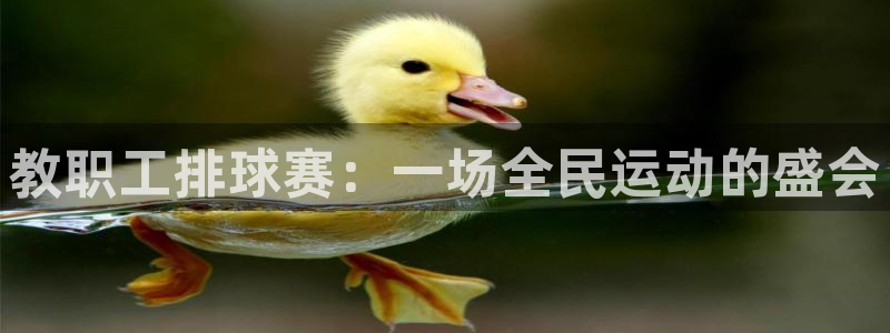 jn江南·体育：教职工排球赛：一场全民运动的盛会