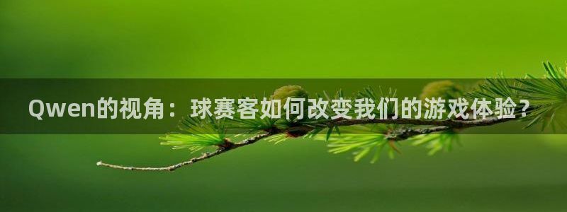 jn江南·体育网页版：Qwen的视角：球赛客如何改变我们的游