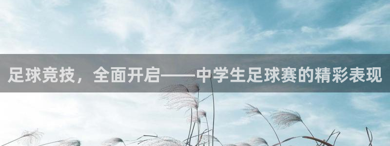 jn江南·体育官网：足球竞技，全面开启——中学生足球赛的精彩