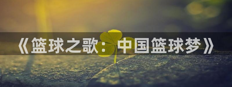 jn江南·体育登录入口：《篮球之歌：中国篮球梦》